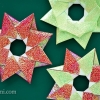 Robin Star